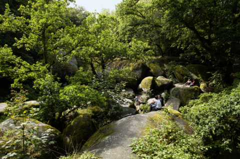 Entre la forêt et le lac, Huelgoat Bretagne Magazine