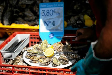 Huitres de Cancale sur le marché