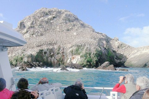 Île Rouzic au large de Perros-Guirec