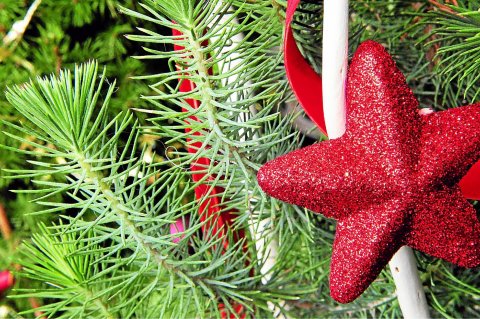 Joyeux Noël en Breton. sapin de noel et cadeaux