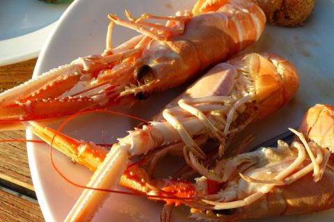 Langoustines