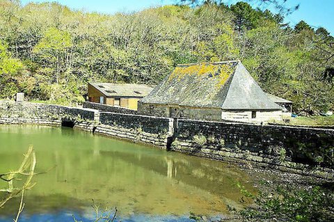 Névez (29). Circuit de découverte EcoBalade , moulin-mer sur le site du Hénan