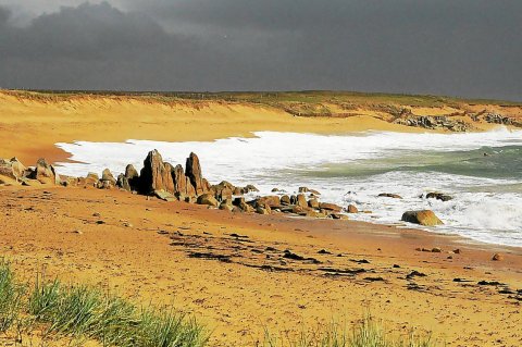 Observez les oiseaux du Golfe avec David Au cœur du Parc Naturel Régional du Golfe du Morbihan,, Château de Suscinio