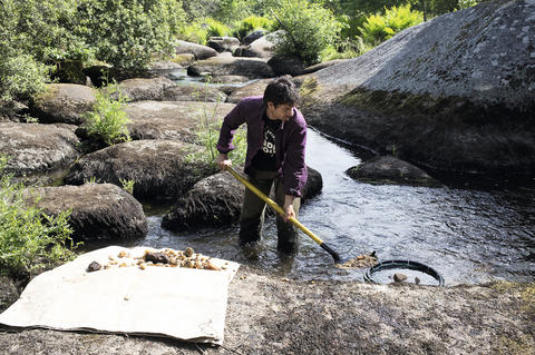 Un chercheur d'or au travail dans une rivière bretonne