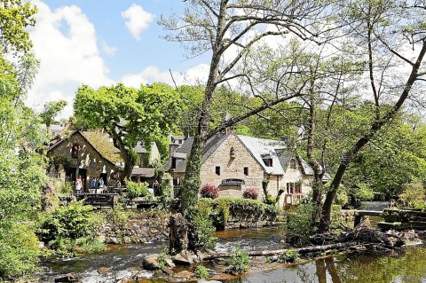 Balade du Bois d'Amour à Pont-Aven