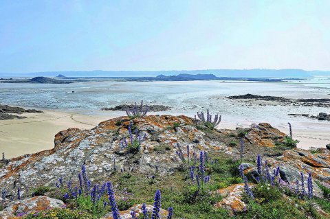 Randonnée du Tour de Saint Jacut de la Mer