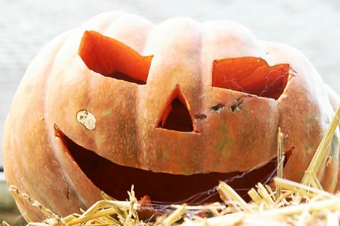 Citrouille d'Halloween dont les origines remonteraient au Samain celte