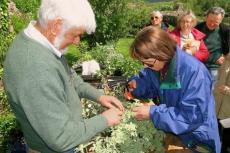 Jardin du château de La Roche-Jagu