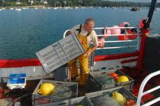Le Tinduff. À la pêche aux bonnes idées