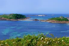 Ile Miliau