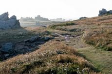 Ile des Landes