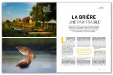 La Brière, une paix fragile