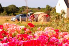 Tracteur tirant une caravane dans une ferme en Bretagne