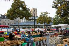 Le Marché des Lices, vue générale du marché, place des lices