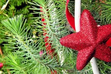 Joyeux Noël en Breton. sapin de noel et cadeaux