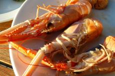 Langoustines